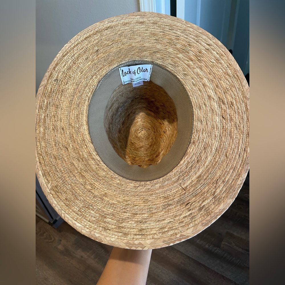 Palma fedora - Picture 3 of 6